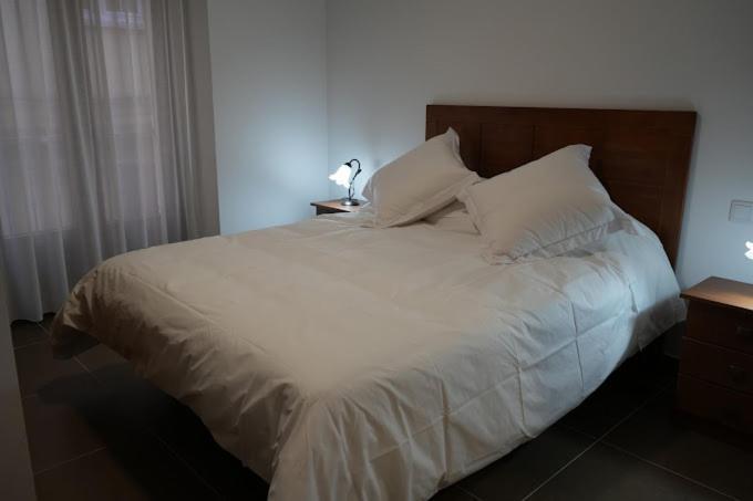 Apartamentos Turisticos Empecinado Roa Bagian luar foto